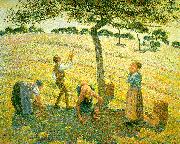 Camille Pissaro Apple Picking at Eragny sur Epte France oil painting reproduction